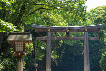 明治神宮第二鳥居