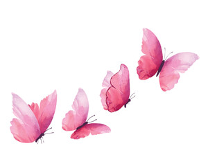 Black butterfly silhouettes. Outline butterflies romantic tattoo, tropical insects stencil. Summer and spring exotic symbols isolated vector set. Elegant wild flying moth of various shape	