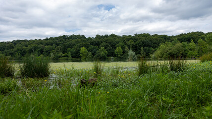 Lac de Balaing