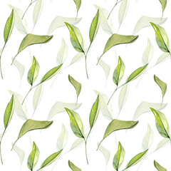 Watercolor seamless botanical pattern with green leaves. Herbal illustration. 