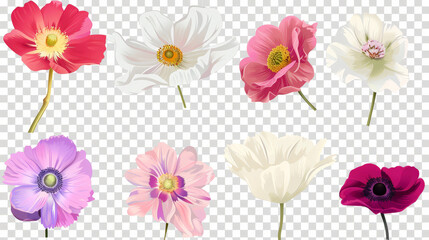 Fototapeta premium set of flowers isolated
