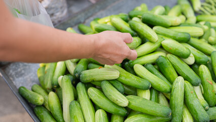 A person is reaching for a bunch of cucumbers on the market. The cucumbers are green and are piled up on a table.