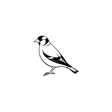 recommend clip art:  goldfinch bird silhouette