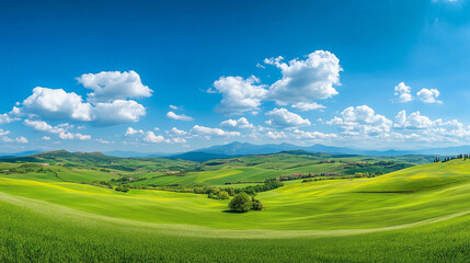 Obraz premium Panoramic view of vast green hills and meadows stretching out under a bright blue sky dotted with white, fluffy clouds.