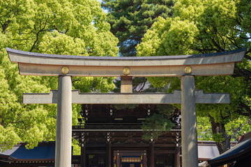 Fototapeta premium 明治神宮第三鳥居