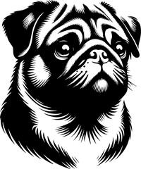 Pug icon 15