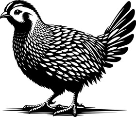 Prairie Chicken icon 5