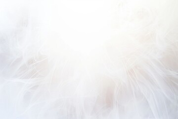 Fototapeta premium Abstract soft gradient white background wallpaper with copy space