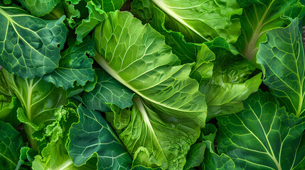 Dive into the lush, vibrant green of freshly harvested leafy greens.