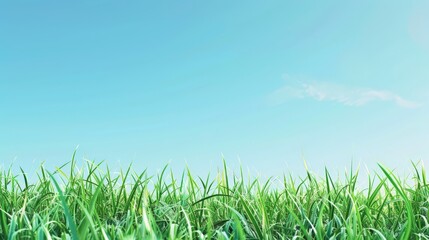 Obraz premium A field of green grass with a clear blue sky in the background
