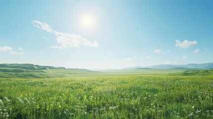 Fototapeta premium A large, open field with a bright blue sky and a sun shining down on it