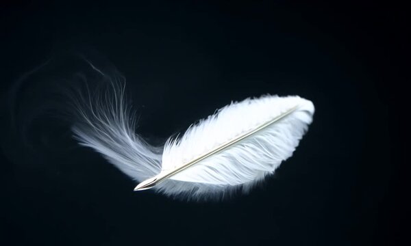 White Feather Pen