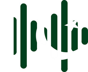 Pakistan flag on Audio Wave Icon