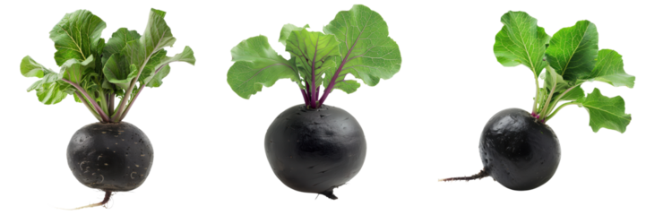 Fresh black radishes with vibrant green leaves, perfect for healthy recipes and nutritious dishes in any kitchen.
