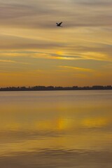 Beautiful Florida Sunrise Sunset 