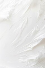 Obraz premium Abstract soft gradient white background wallpaper with copy space