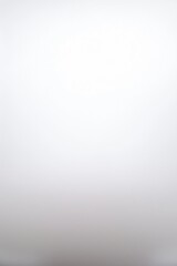 Fototapeta premium Vertical White Gray Gradient Background with Copy Space