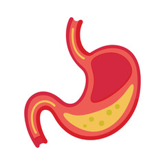 Illustration of Human stomach on white