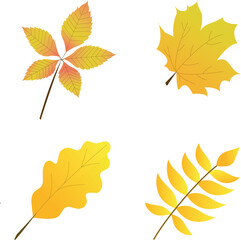 autumn leaves of trees
