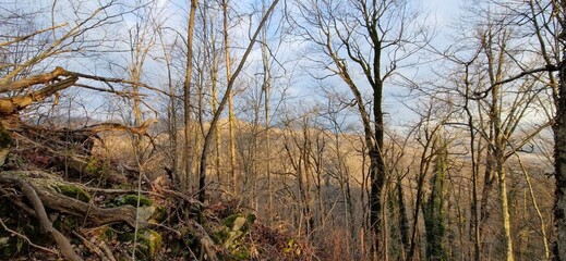 Spring Mountains