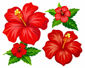 Red Stunning Hibiscus Flower on White Background: A Botanical Delight