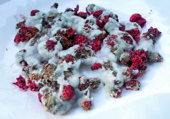 Mold berry. The raspberry is covered with mold