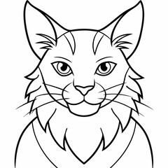Warrior cat art vector illustration