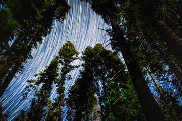 Streaked Stars Above Little Yosemite Valley 