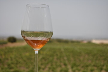 葡萄畑とワイン