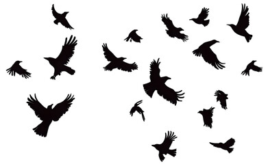 Fototapeta premium A flock of flying crows isolated on transparent background.