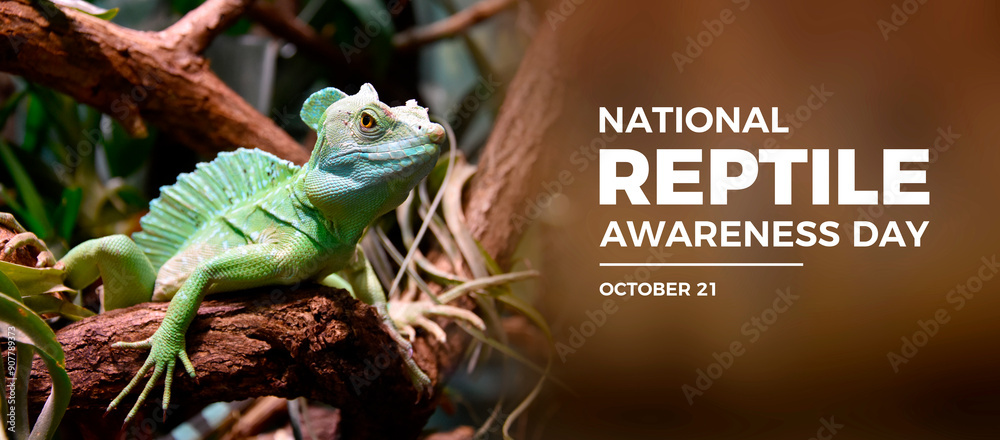 Wall mural national reptile awareness day poster stock photo images. green basilisk lizard on tree branch stock