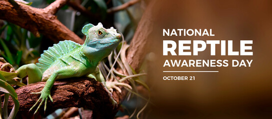 National Reptile Awareness Day poster stock photo images. Green Basilisk Lizard on tree branch stock photo. October 21 each year. Important day