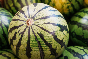 Close-up of watermelons