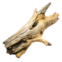 apiece of driftwood with a tree branch