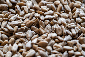 close-up of many sunflower seeds in a pile
