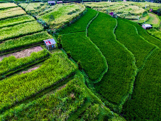 Jatiluwih Rice Terraces in Penebel district, Bali, Indonesia