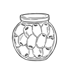 Hand-drawn olives in brine. Olives in a jar. Isolated food illustration on a white background