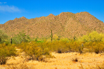San Tan Mountains Sonora Desert Arizona