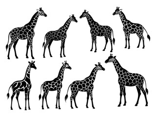 Vector art giraffe silhouette with white  background