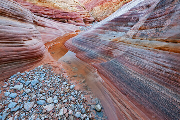 Slot canyon with pools of standing water and reflections, Valley of Fire State Park, Nevada, USA