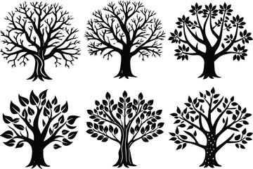 Six Black and White Silhouettes of Trees with Different Branching Patterns and Leaf Shapes