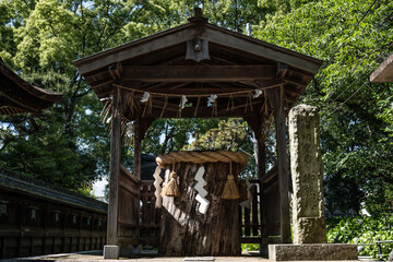 京都、藤森神社、神社、木造の建物、鳥居