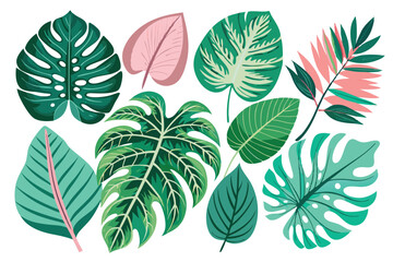Collection of Diverse Green and Pink Tropical Leaves