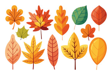 Obraz premium Collection of Colorful Autumn Leaves Isolated on White Background
