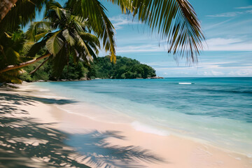 Tropical Beach with Palm Trees and Crystal Clear Water Photo