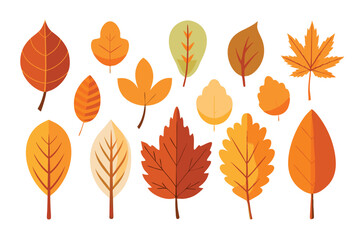 Obraz premium Collection of Autumn Leaves in Various Shapes and Colors
