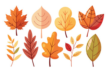 Obraz premium Collection of Colorful Autumn Leaves in Various Shapes and Sizes