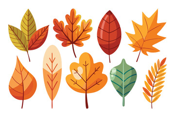 Naklejka premium Collection of Autumn Leaves in Various Shapes and Colors