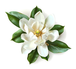 Obraz premium Clean background of flowers