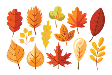 Collection of Colorful Autumn Leaves in Various Shapes